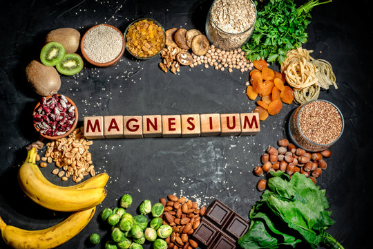 Magnesium Bisglycinate Essential Nutrient Lifestyle Shot Proteus Nutrition