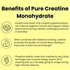 Pure Creatine Powder (500g)